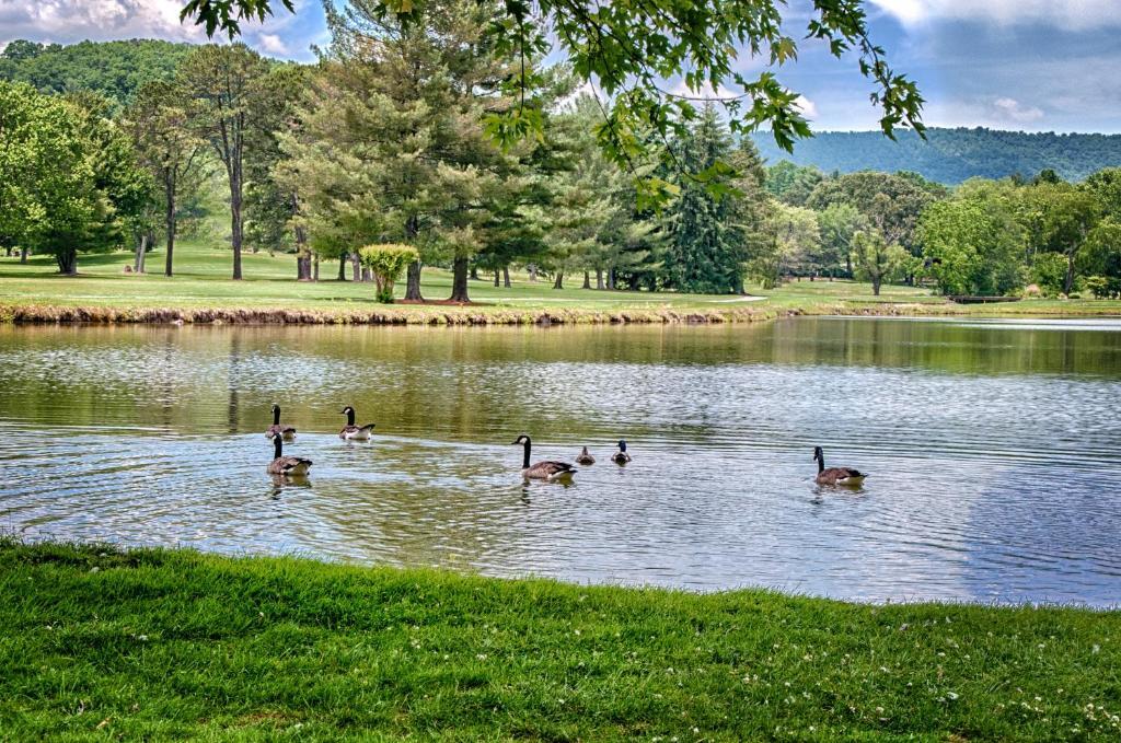 Etowah Valley Golf & Resort Ngoại thất bức ảnh